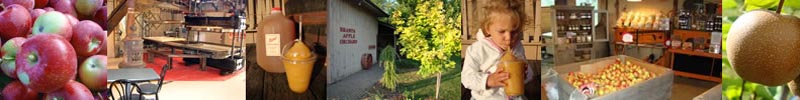 Brant's Apple Orchard Market